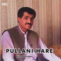 Roch Na Da - Alim Masroor