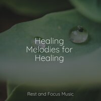 Waves Lapping the Shore - Yoga Music & Music to Relax in Free Time & Reiki Tribe