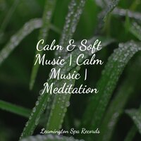 Ambience of Clouds - Studying Music & Asian Zen Spa Music Meditation & Meditation Music Club