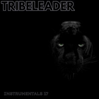 LIGHT KINGDOM - Tribeleader