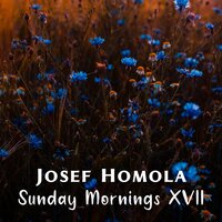 Deep Love & Sunday Morning - Josef Homola