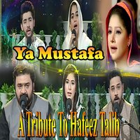 Mizaj E Zindagi Hai Sakht Barham Sayed E Aalam - Rahat Fateh Ali Khan
