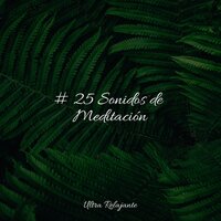 Tranquilidad Pura - Musica Para Dormir Profundamente & Naturaleza Relajacion & Sonidos De Lluvia y Tormentas