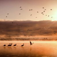 Ruido de Amores - Lago