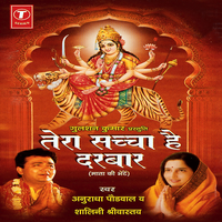 Teri Jyoti Amar Hai Shivrani - Anuradha Paudwal & Shalini Shrivastava & H. Soni Pumpum