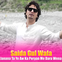 Janana Ta Ye Aw Ka Peryan Me Dara Wena - Saida Gul Wafa