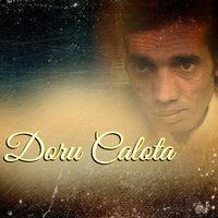 Fratiorul Meu - Doru Calota