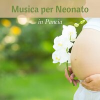 L'inizio di una vita - Gravidanza Dolce Attesa