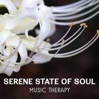 Healing Echoes of Nature - Zen Mental Relax Sanctuary