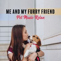 Comfort Sense Without Stress - Pet Music Doctor