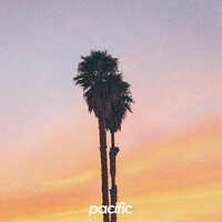 Summer Nights - Pacific