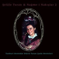 Ağaçların Sarkmış Suya Dalları - Şelale Turan
