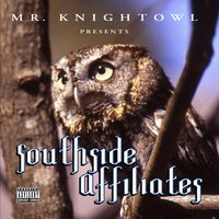 I Wanna Fuck Me Some Hoes - Mr. Knightowl & Slush the Villain