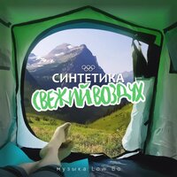 Одно на двоих - Синтетика