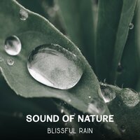 Zen Breathing - Restful Music Consort