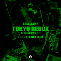 Flood is Coming - Cam Lasky