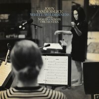 Alemany Gap - John Vanderslice