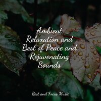 Mellow Morning Moments - Kinderlieder Megastars & Reiki Tribe & Sleep Meditation Dream Catcher