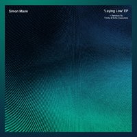 Laying Low - Simon Mann & Echo Inspectors