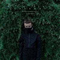 Саранча - Бакей
