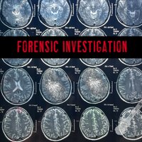 Forensic Investigation - Adam Saunders & Mark Cousins