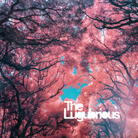 Falling Leaves - The Lugubrious