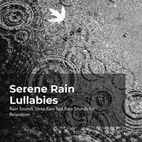 Reposeful Pouring Rain - Rain Sounds Sleep & Rain Spa & Rain Sounds for Relaxation