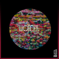 Wonder - Abide