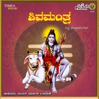 Shankara Abhayankara - Srinivas