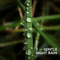 Soft Ambient Vibes - Nature Music Zone