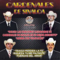 Por Ningún Motivo - Los Cardenales De Sinaloa