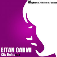Sunshine State - Eitan Carmi