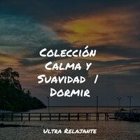 Sonidos De Primavera - Naturaleza Sonidos & Master Meditação & Musica para Dormir Dream House