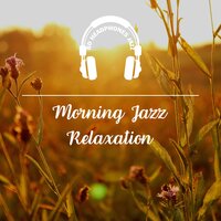 Flight with Only One Wing (8D Audio) - 8D Headphones Jazz