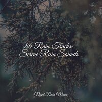 White Noise Drip Drop Rains - Ambient Nature Project & Best Kids Songs & Nature Sounds Nature Music