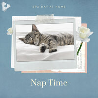 Birds Singing in the Rainforest - Spa Day At Home & Rest & Relax Nature Sounds Artists