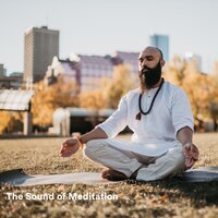 Yog - Meditation Music & Zen Meditation Garden & Zen Spa Zen Relaxation Zen Massage