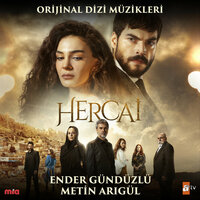 Günahların Bedeli - Ender Gündüzlü & Metin Arıgül