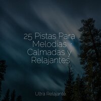 Dulces Sueños - Música Relajante para Bebés & Naturaleza Relajacion & Masajes Spas