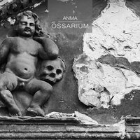 Babylon - ANMA