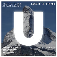 Leaves In Winter - Syntheticsax & Dream Travel
