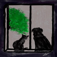 Raining Cats & Dogs - Josh Taylor