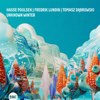 Any Bright Eye - Hasse Poulsen & Tomasz Dabrowski & Fredrik Lundin