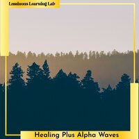 Renewing Paths through Forest - Luminous Learning Lab