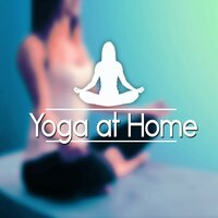 Stress Release (Grasshoppers) - Yin Yoga Academy