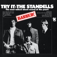 Can You Dig It - The Standells
