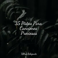 Hojas en El Viento - Canciones Para Niños & Massagem & Relajante Musica