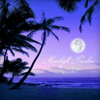 Moonlight Paradise - Teresa Meads & S A Z E R