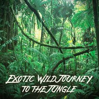 Tropical Jungle - Ethnic Moods Academy