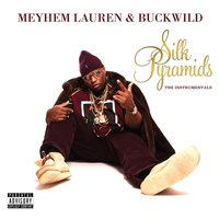 Narcotics Anonymous - Meyhem Lauren & Buckwild